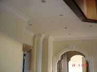 villa  (25)
